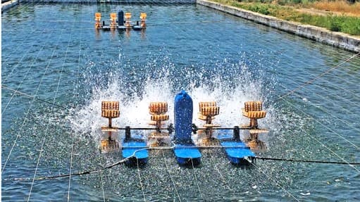 Pond Airators